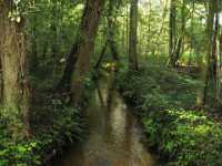 A1160 Strijbeek Hondsdonk Valkenberg 113 213 Meer GPS wandelingen kunt u vinden op  www.gpswalking.nl